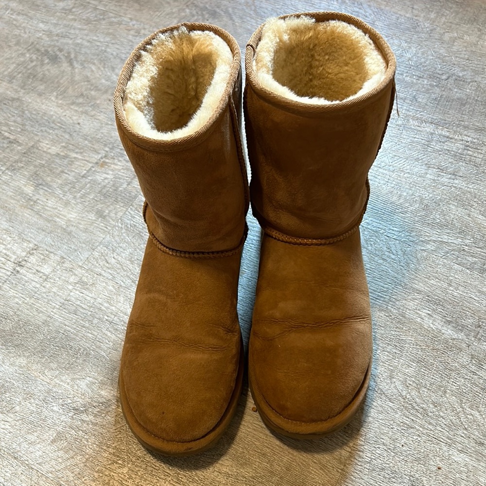 Uggs Classic